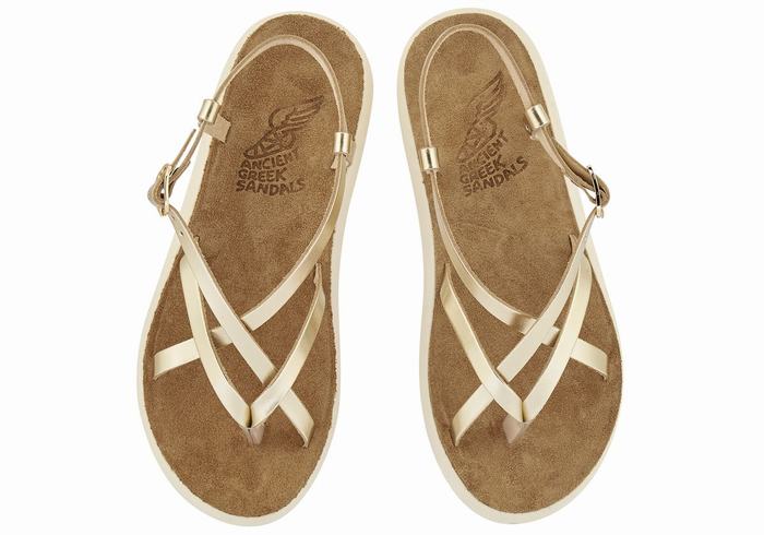 Sandales Bride Arrière Ancient Greek Sandals Semele Comfort   | GXE-9215364